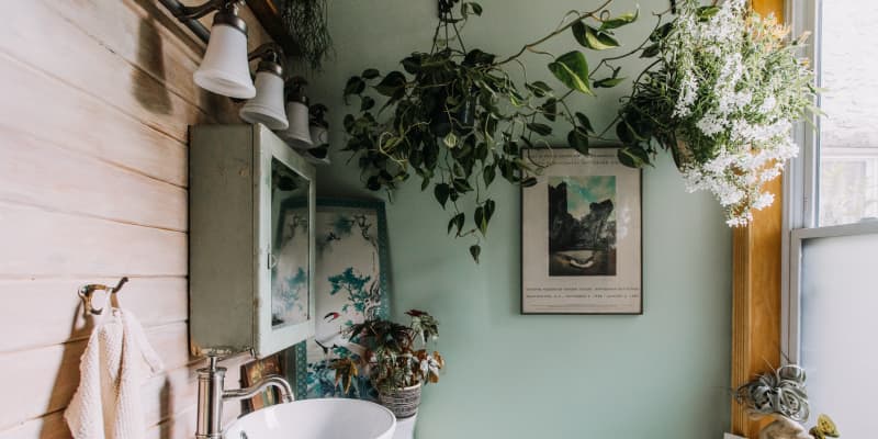 Hanging plants hot sale for bathroom